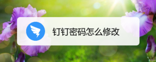 釘釘怎么修改賬號密碼