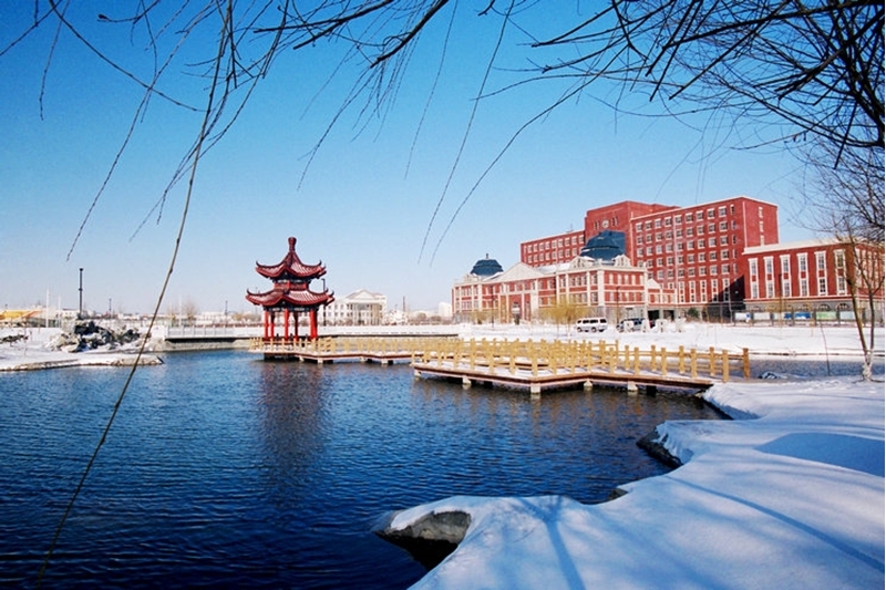東北大學(xué)秦皇島分校.jpeg